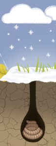 "Guck mal, wer lebt im Wald?" Regenwurm in Winterstarre
