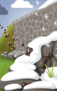 "Guck mal, wer lebt im Wald?" Marienkäfer in Winterstarre
