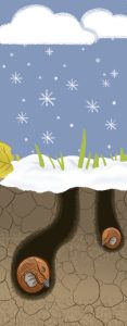 "Guck mal, wer lebt im Wald?" Wegschnecke im Winter