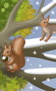 "Guck mal, wer lebt im Wald?" Eichhörnchen im Winter