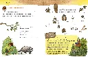 9783945677179_innenansicht_03.webp
