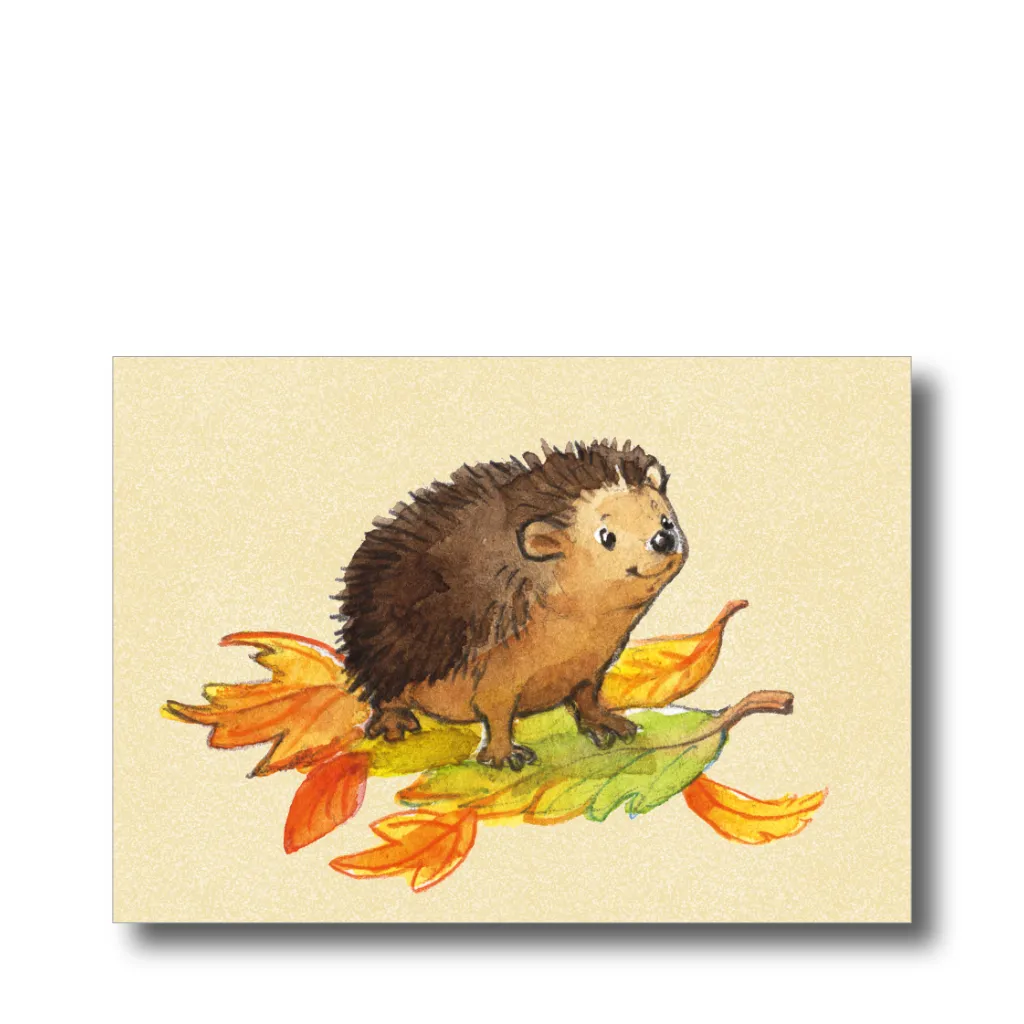 Postkarte „Igel"