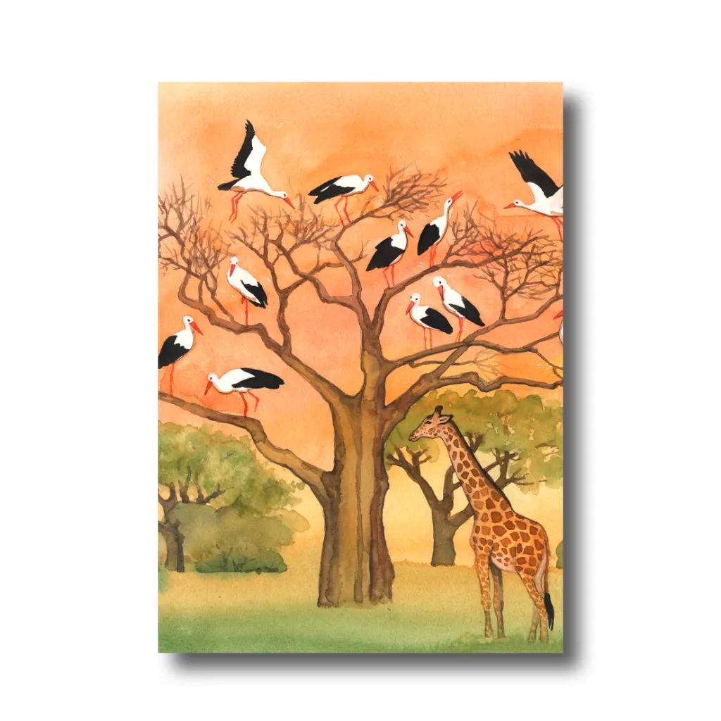 Postkarte „Störche Afrika"
